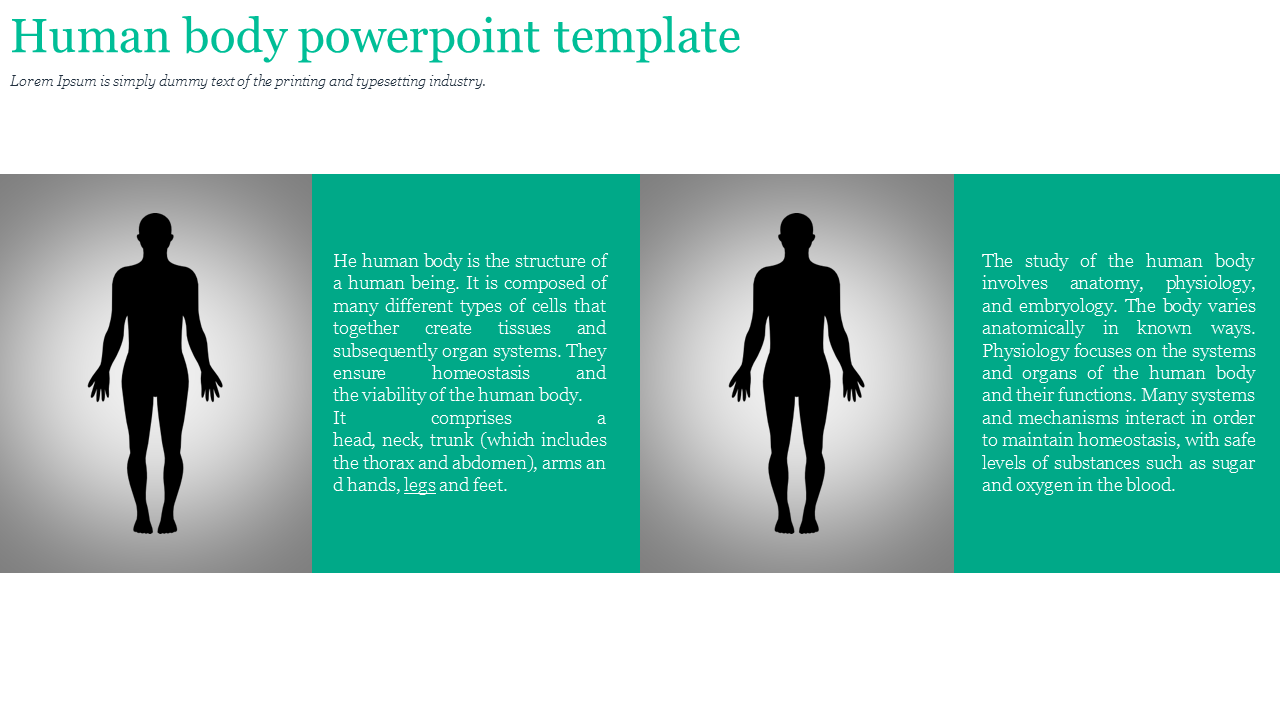 A Two Noded Human Body PowerPoint Template Presentation